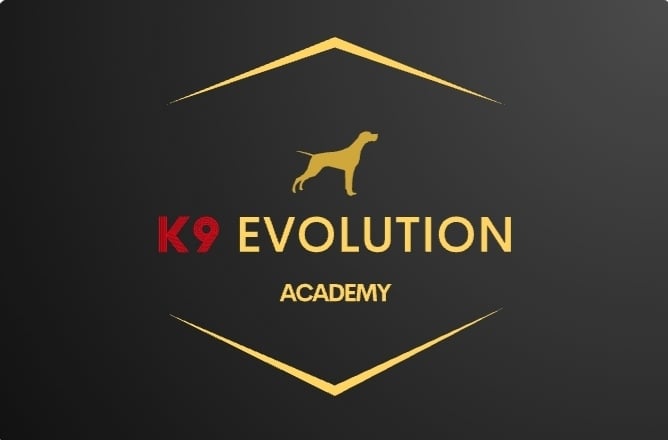 k9 evolutiom academy
