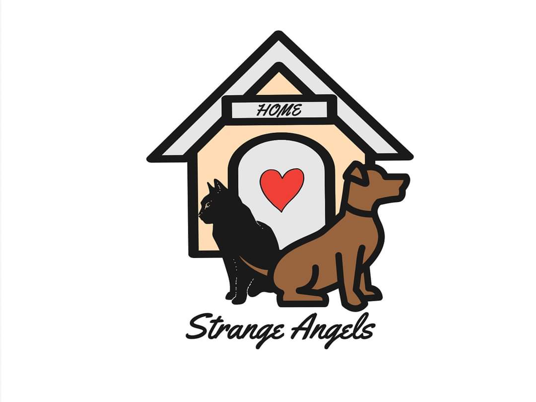 Strange_angels2021
