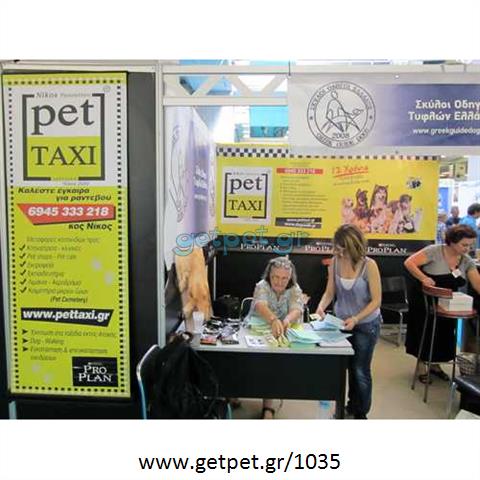 Pet Taxi Παλαιό Φάληρο Αττικής
