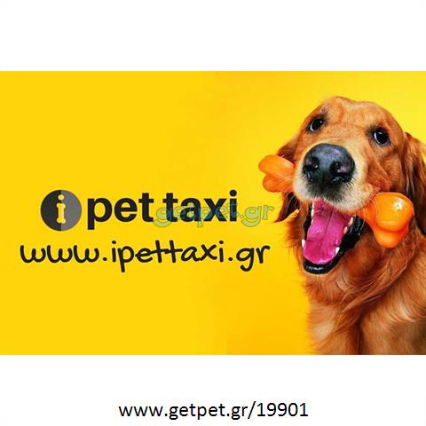 Pet Taxi Χαϊδάρι Αττικής