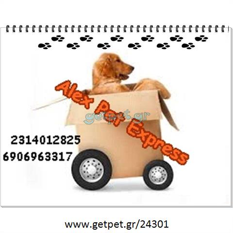 Pet Taxi Καλαμαριά Θεσσαλονίκης