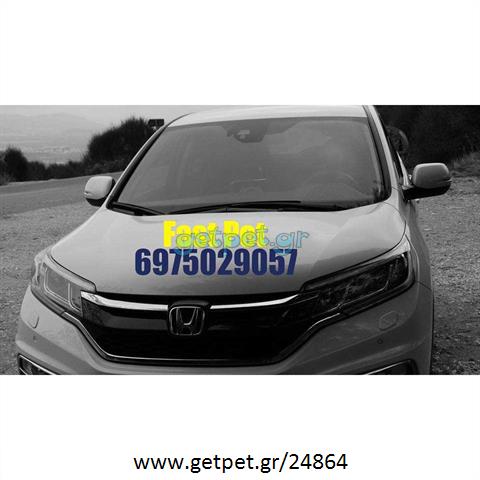 Pet Taxi Μαρούσι Αττικής