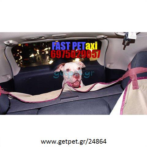 Pet Taxi Μαρούσι Αττικής