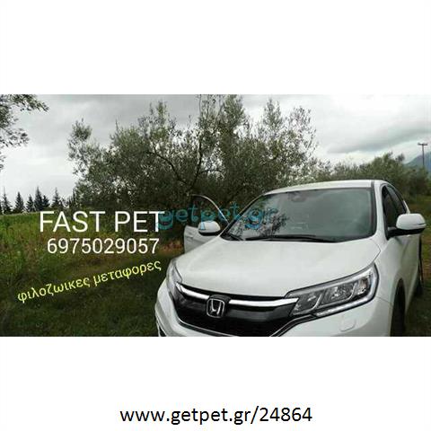 Pet Taxi Μαρούσι Αττικής