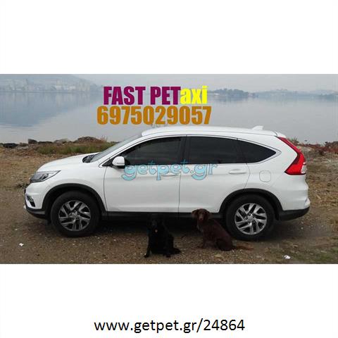Pet Taxi Μαρούσι Αττικής