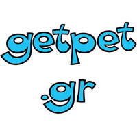 Pit Bull Pit Mpoyl Terrie Getpet Gr