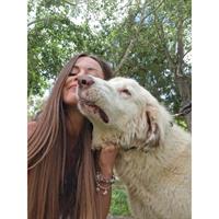 Δίνεται για υιοθεσία - χαρίζεται ημίαιμος σκυλάκος