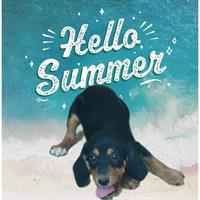 Δίνεται για υιοθεσία - χαρίζεται ημίαιμη σκυλίτσα Dachshund - Ντατσχάουντ - Λουκάνικο