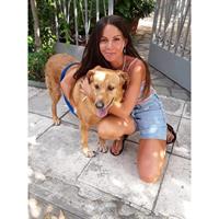 Δίνεται για υιοθεσία - χαρίζεται ημίαιμη σκυλίτσα Labrador Retriever - Λαμπραντόρ Ριτρίβερ