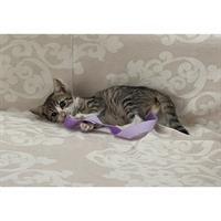 Δίνεται για υιοθεσία - χαρίζεται γατάκι Aegean Cat - Γάτα Αιγαίου