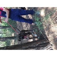 Δίνεται για υιοθεσία - χαρίζεται ημίαιμη σκυλίτσα American Bulldog - Μπουλ Ντογκ