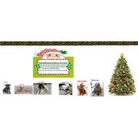 Δίνεται για υιοθεσία - χαρίζεται ημίαιμη σκυλίτσα West Highland - Γουέστ Χάιλαντ