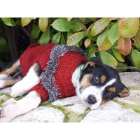 Δίνεται για υιοθεσία - χαρίζεται ημίαιμη σκυλίτσα Bernese Mountain Dog - Ορεινός σκύλος Βέρνης